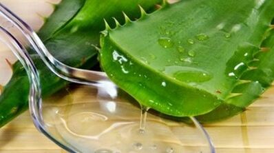 Aloe para aumentar a potencia dos homes