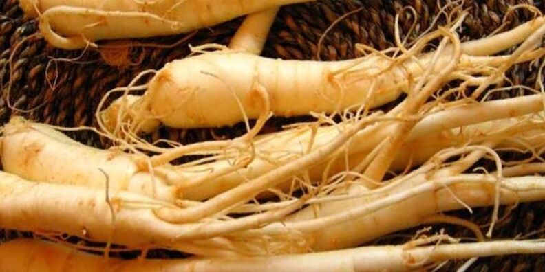 Raíz de ginseng para aumentar a potencia